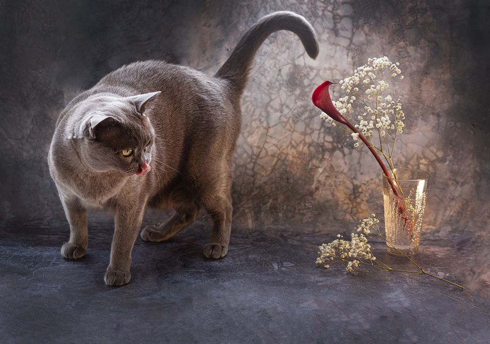 Photograph by Наталия Колтакова