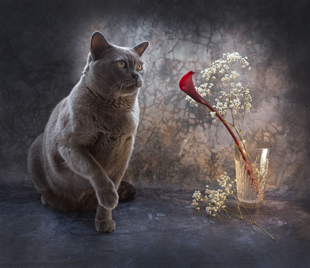 Photograph by Наталия Колтакова