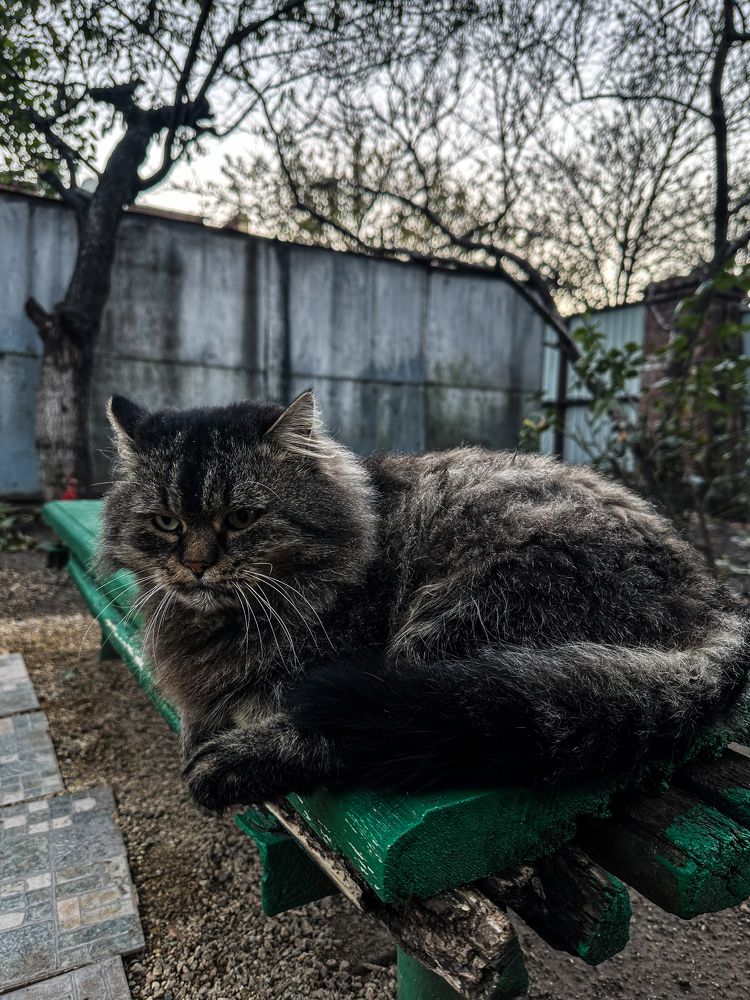 Photograph by Анна Петриенко