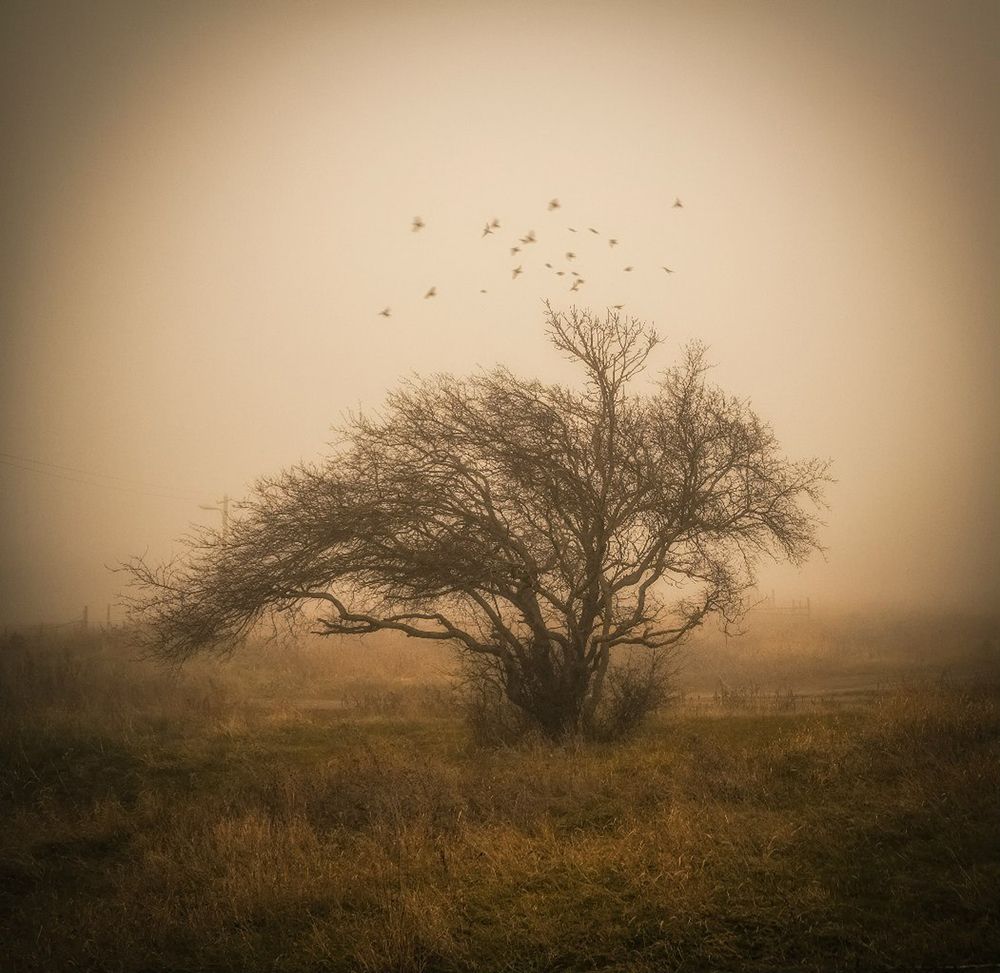 Photograph by Натали Воскресенская