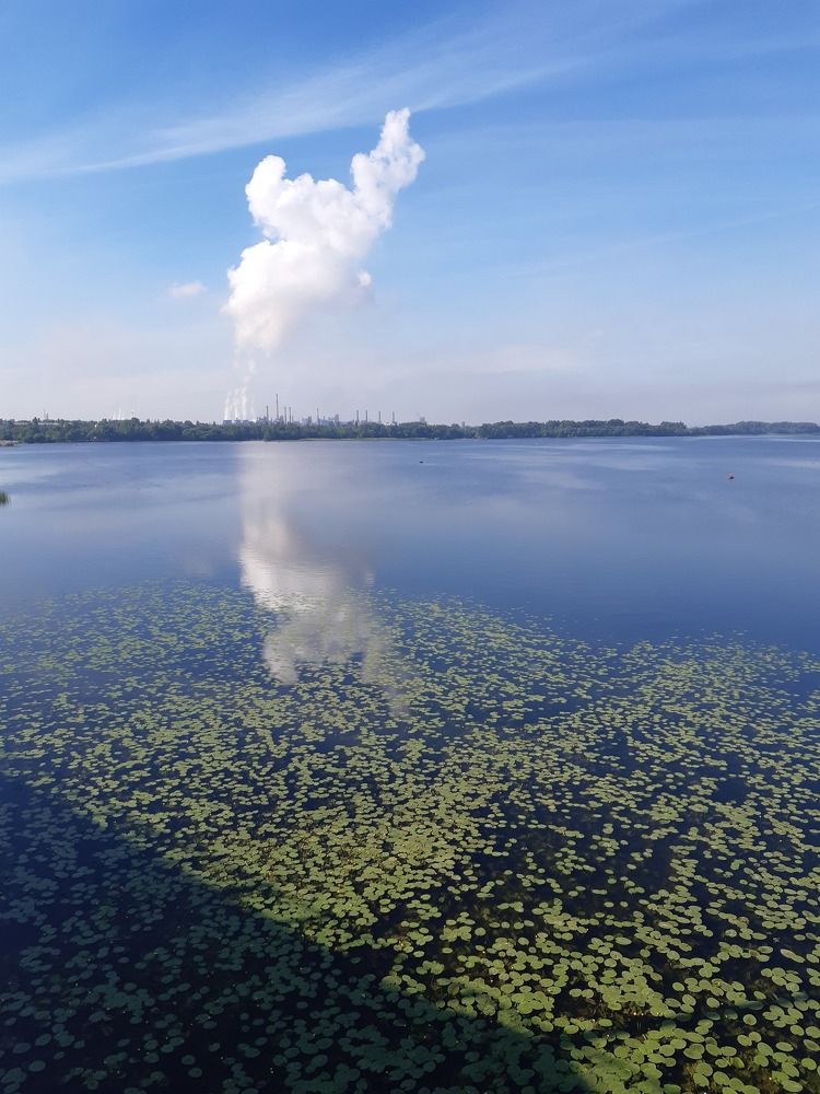 Photograph by Татьяна Медведева