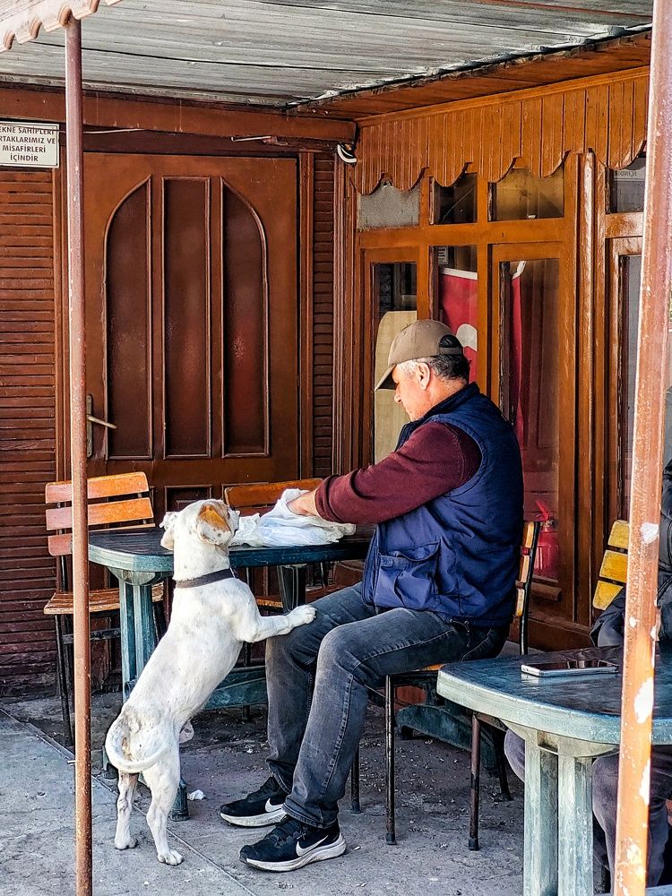 Photograph by shima yousef zade