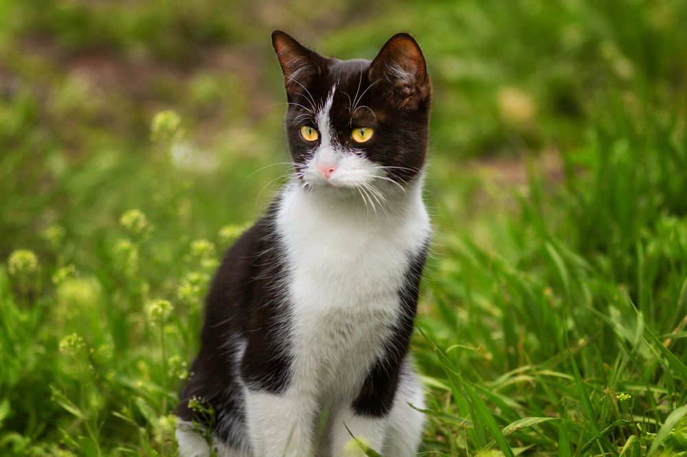 Photograph by Александр Канцур