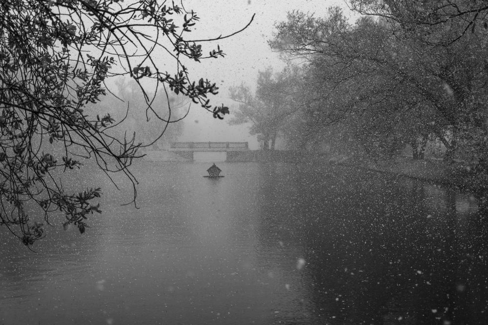 Photograph by Ольга Салтыкова