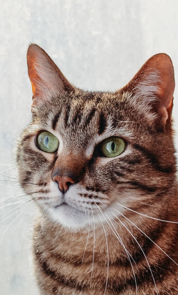 Photograph by Скоблина Юлия