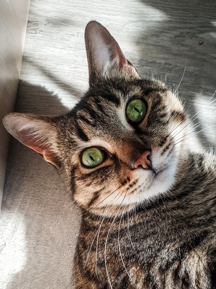 Photograph by Скоблина Юлия