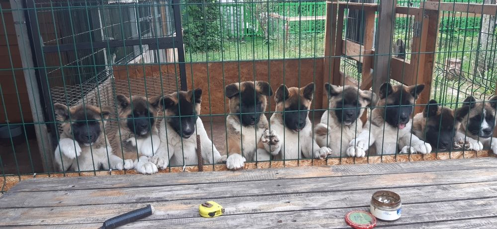 Photograph by Татьяна Медведева