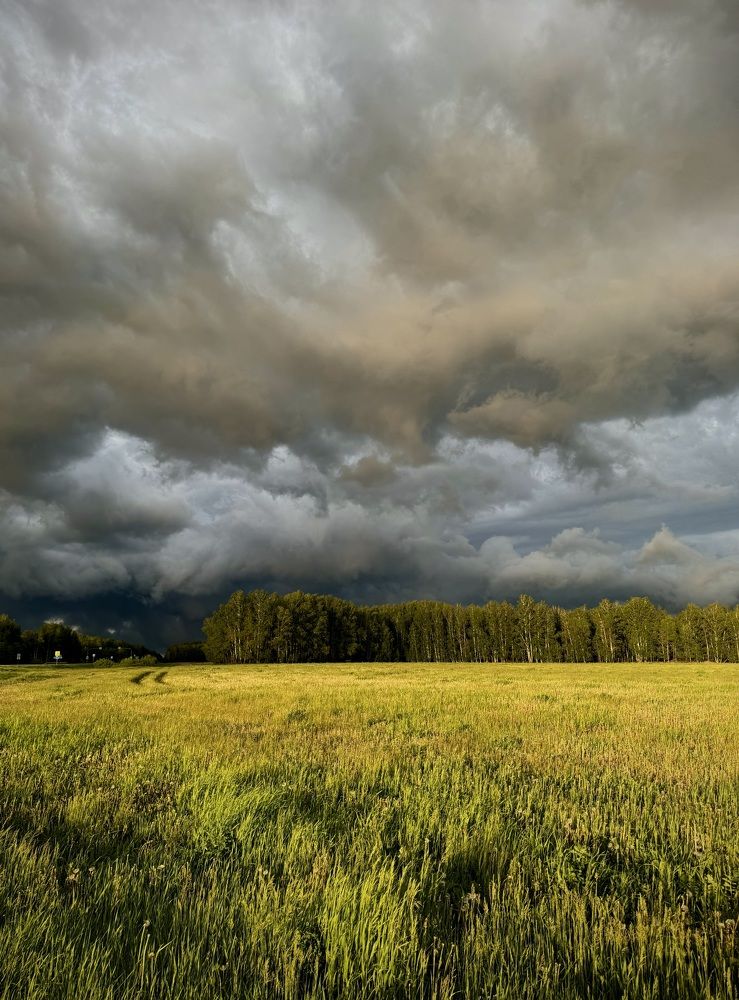 Фотография автора Евгения Елисеева