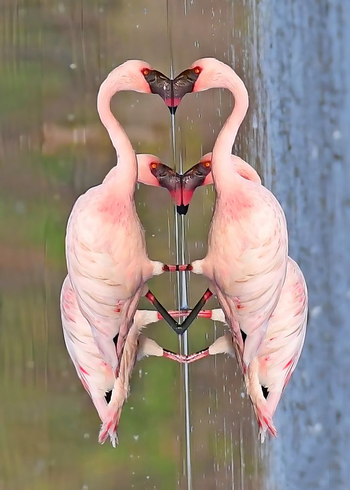 Photograph by Abhijeet Phalsankar