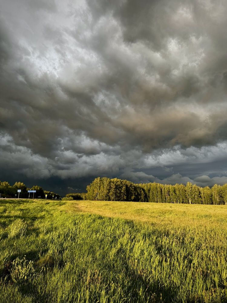 Фотография автора Евгения Елисеева