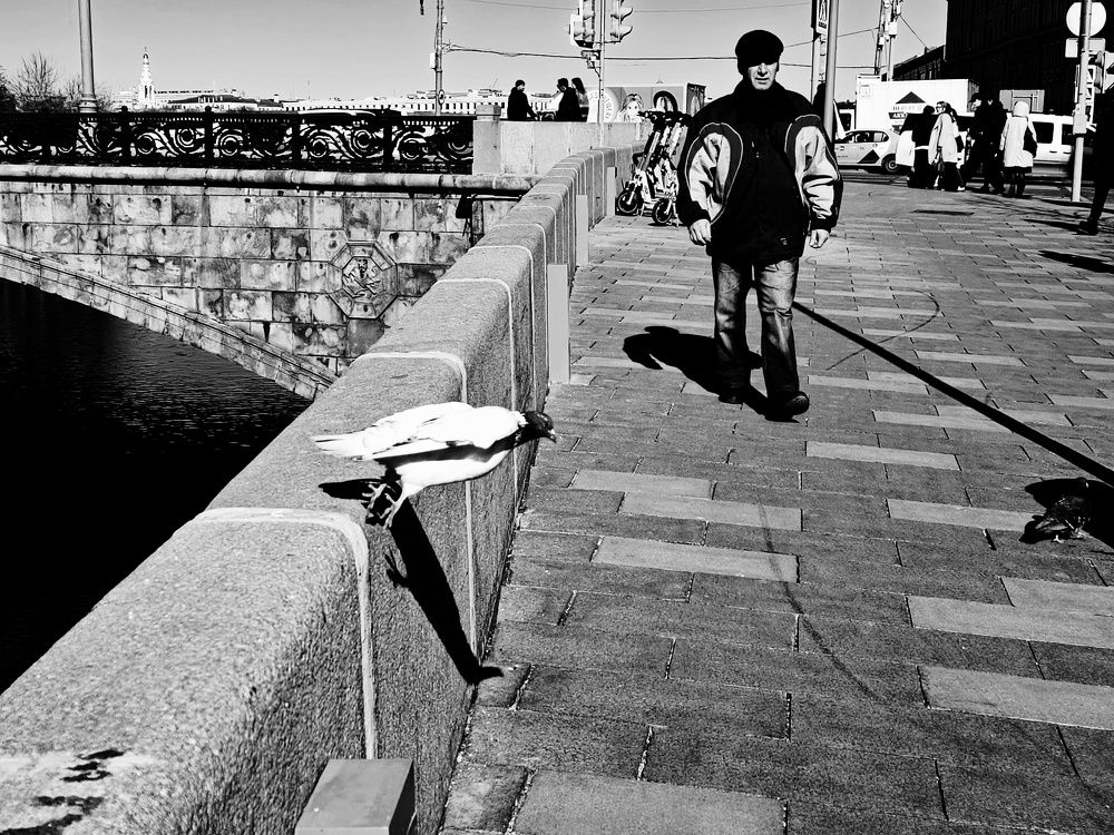 Photograph by Юлия Гришина
