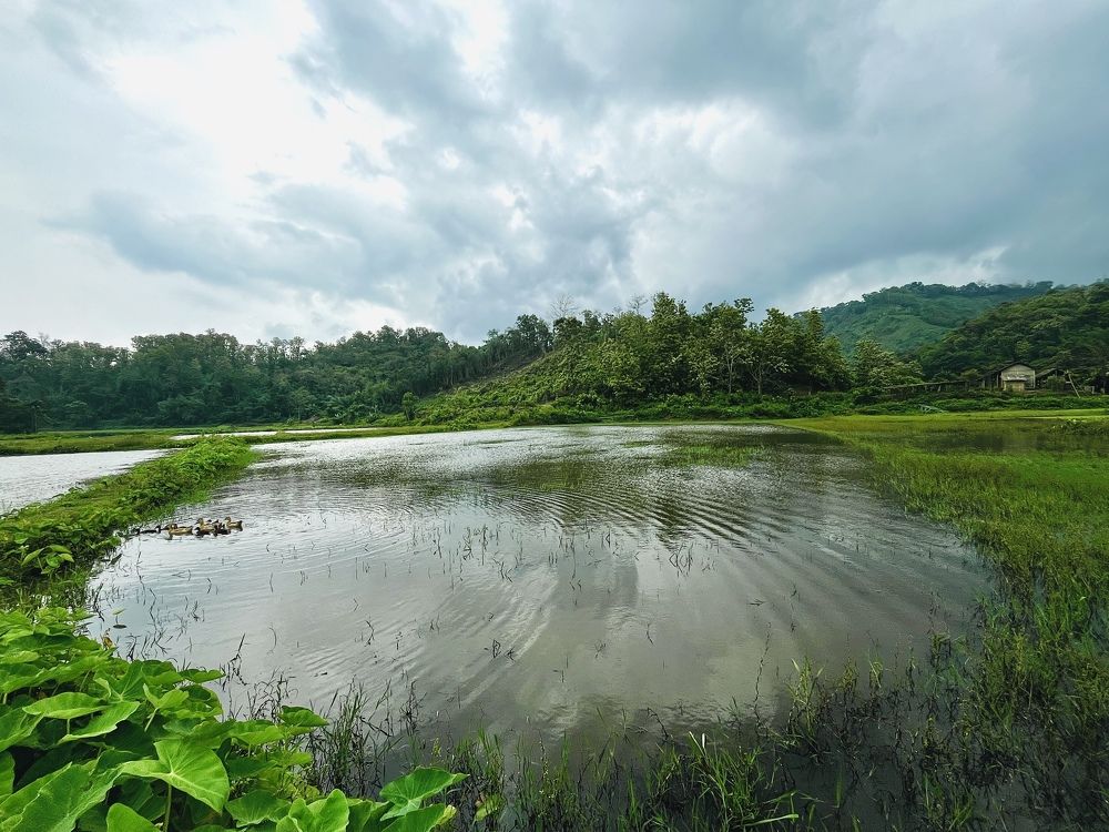 Photograph by Vl Peka Zofa