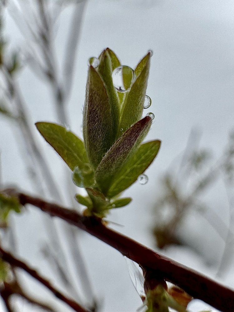 Фотография автора Евгения Елисеева