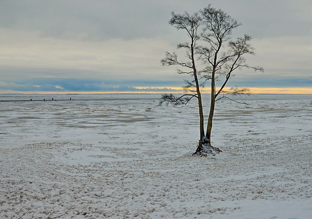 Photograph by Лидия Ушакова