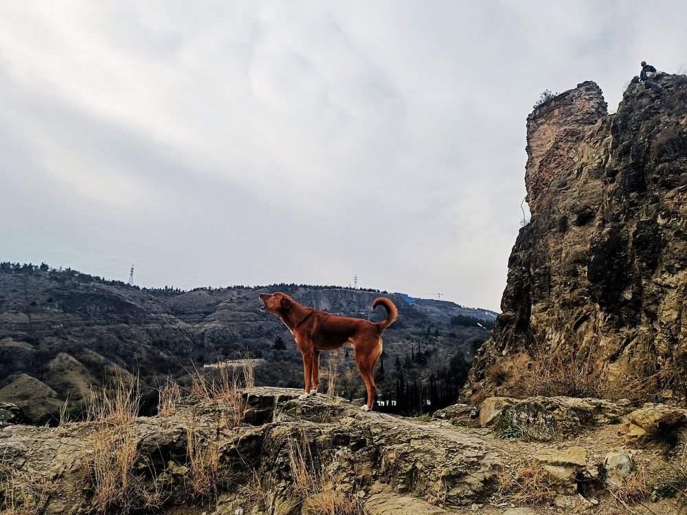 Photograph by Юлия Гришина