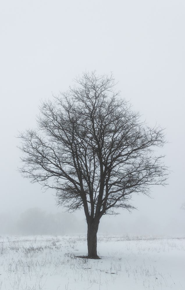 Photograph by Alexander Eliseev