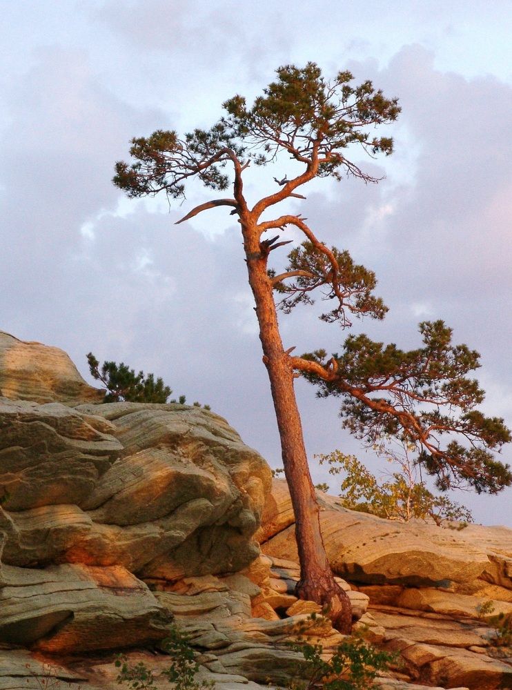 Photograph by Наталья Анисимова