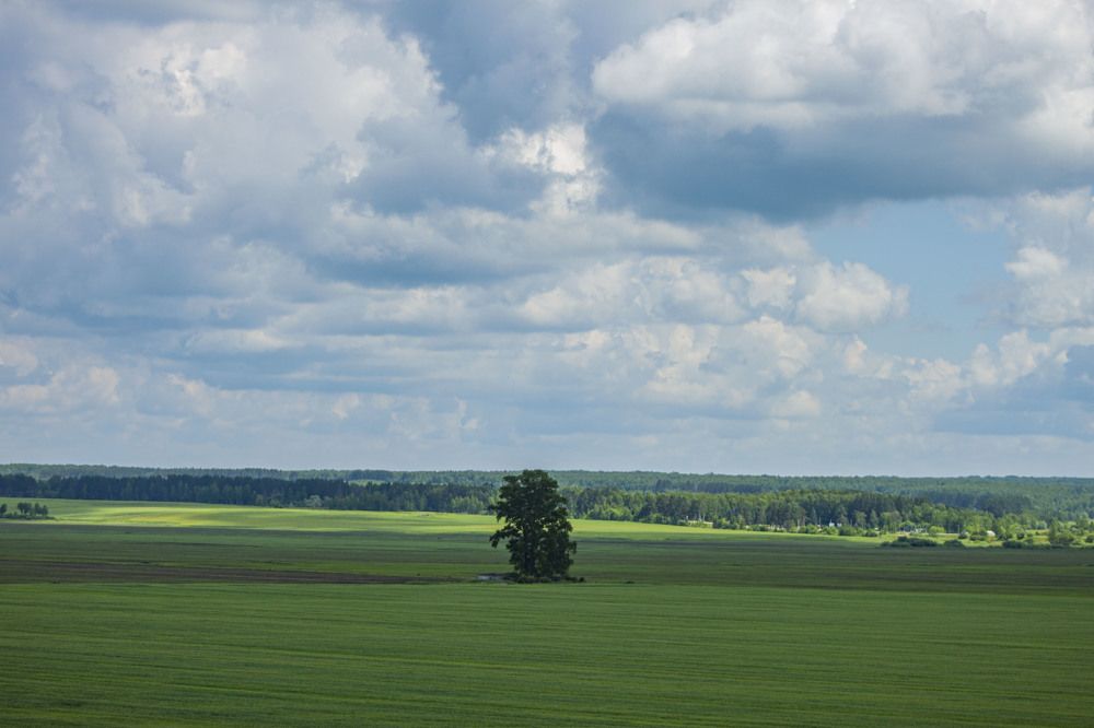 Photograph by Владислав Капанов