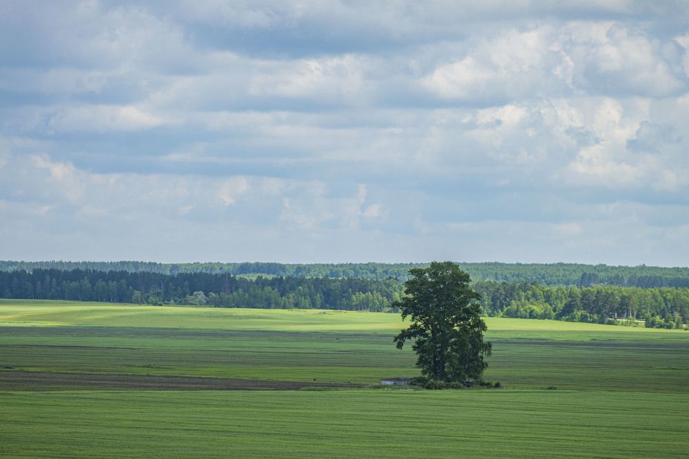 Photograph by Владислав Капанов