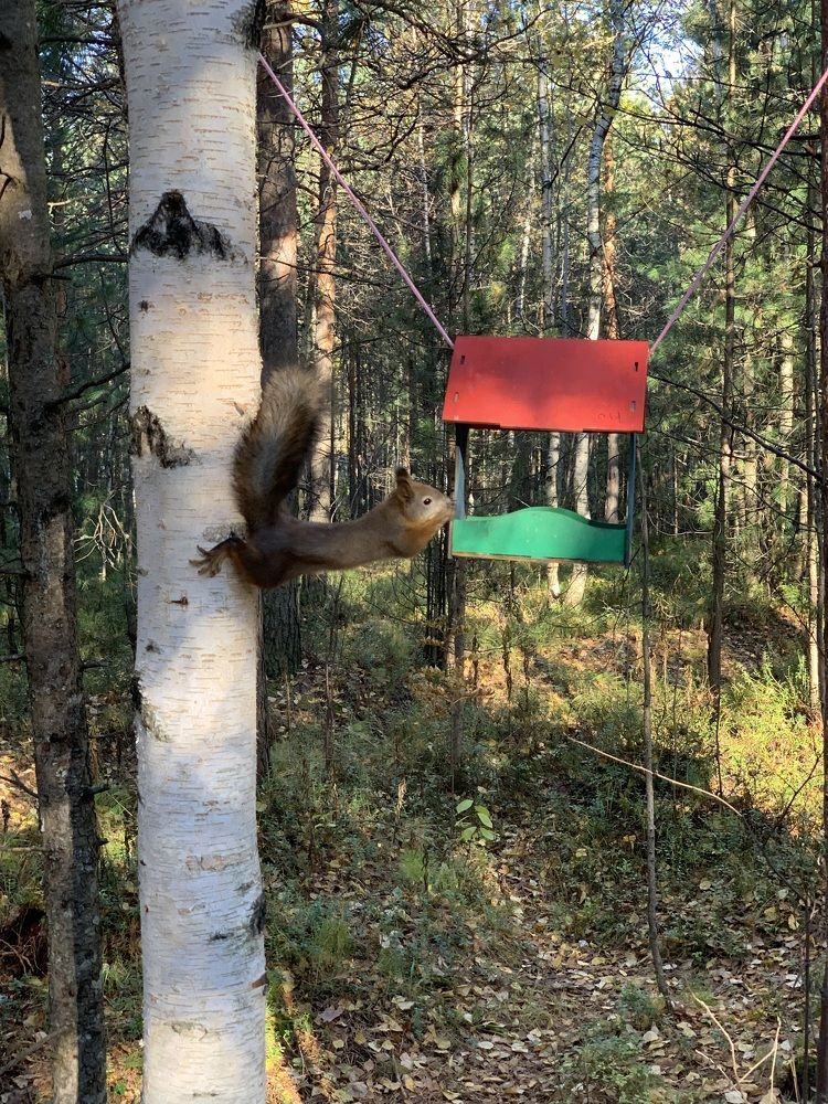 Photograph by Евгения Мягкова