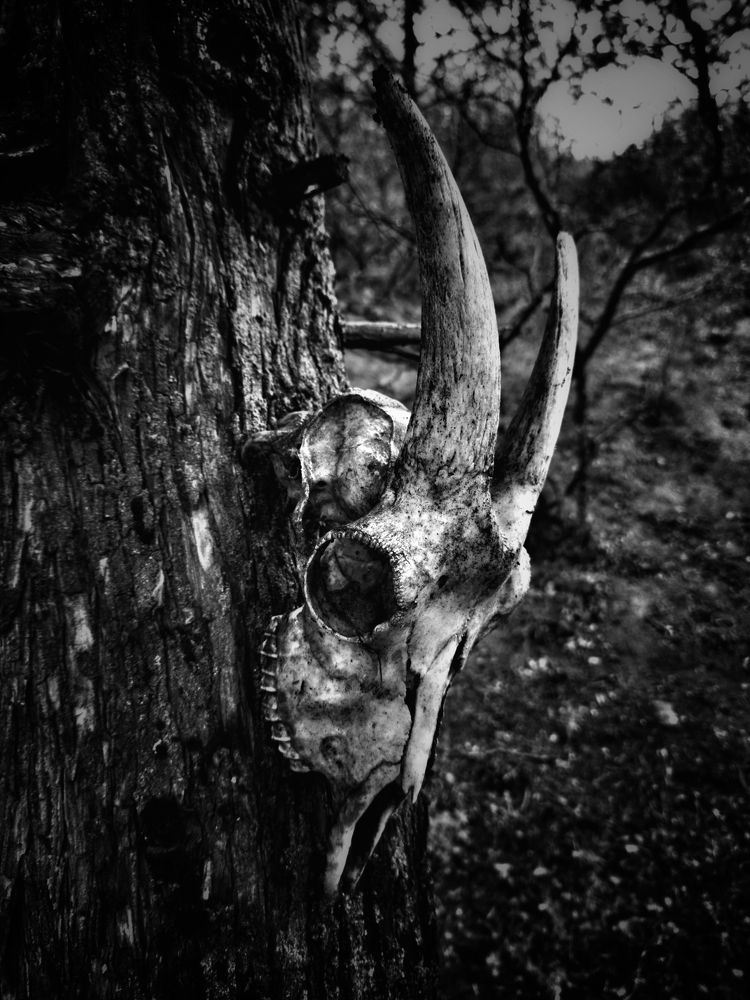 Photograph by  Artem