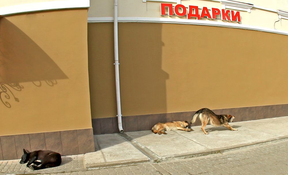 Бонусы в магазине