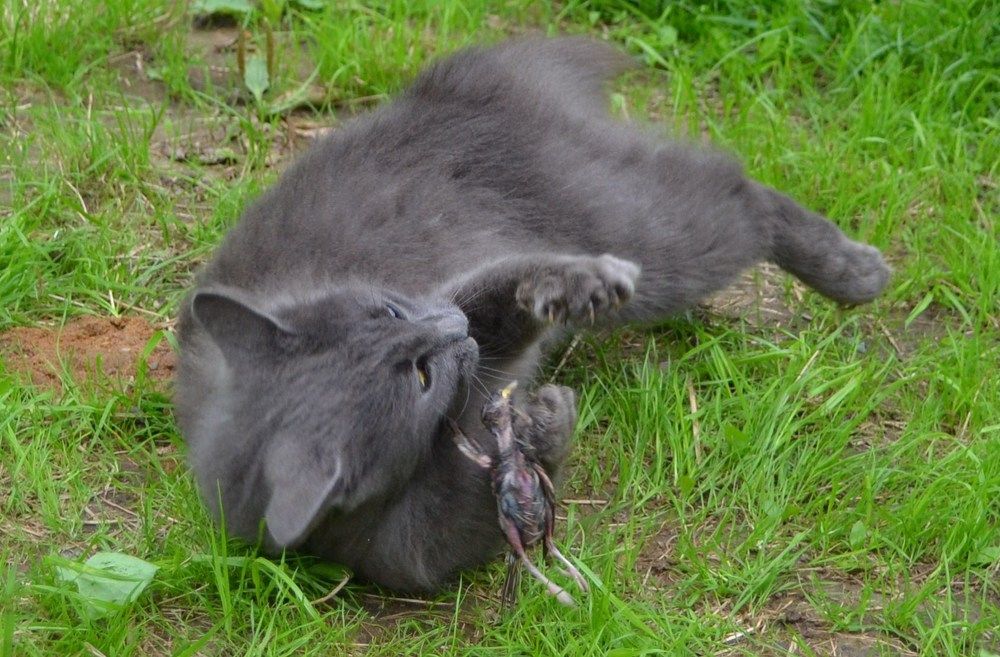 Photograph by Ольга Хромова