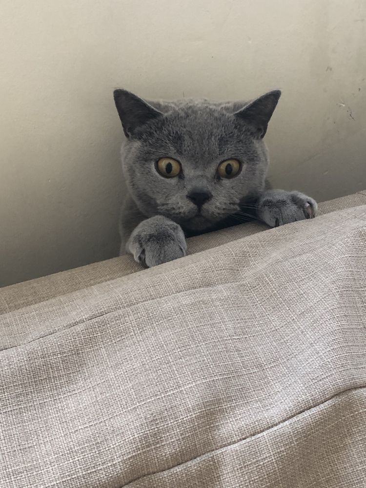 Photograph by Edward Arnold