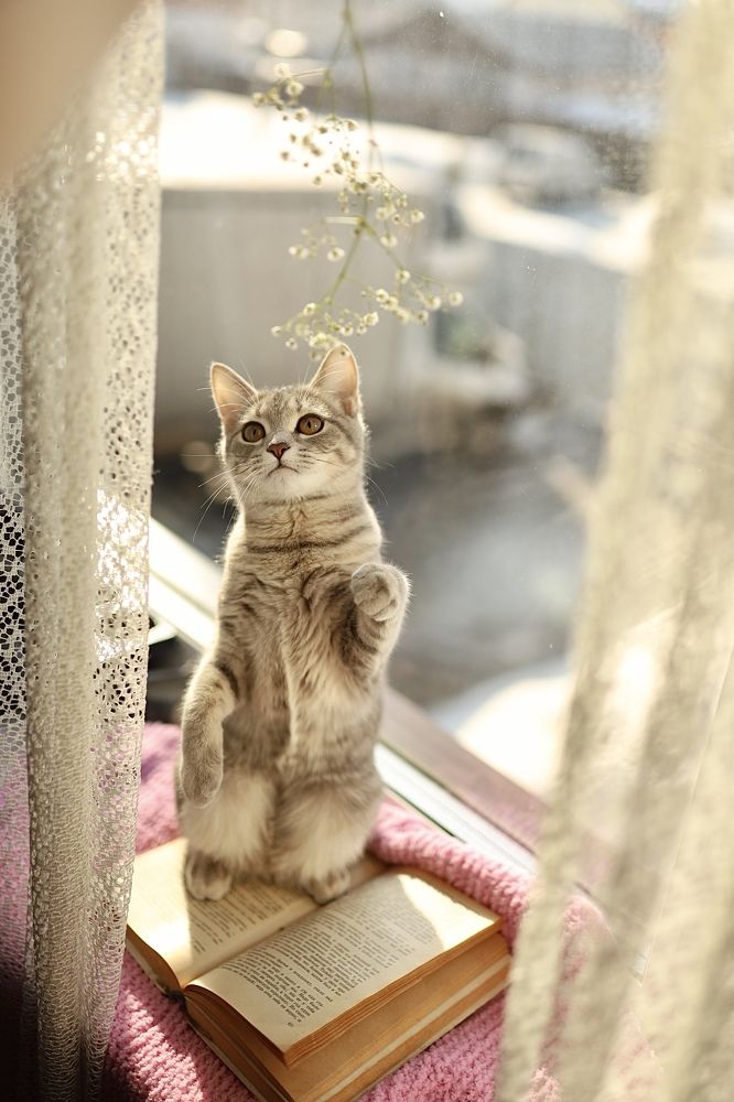 Photograph by Наталья Гусева