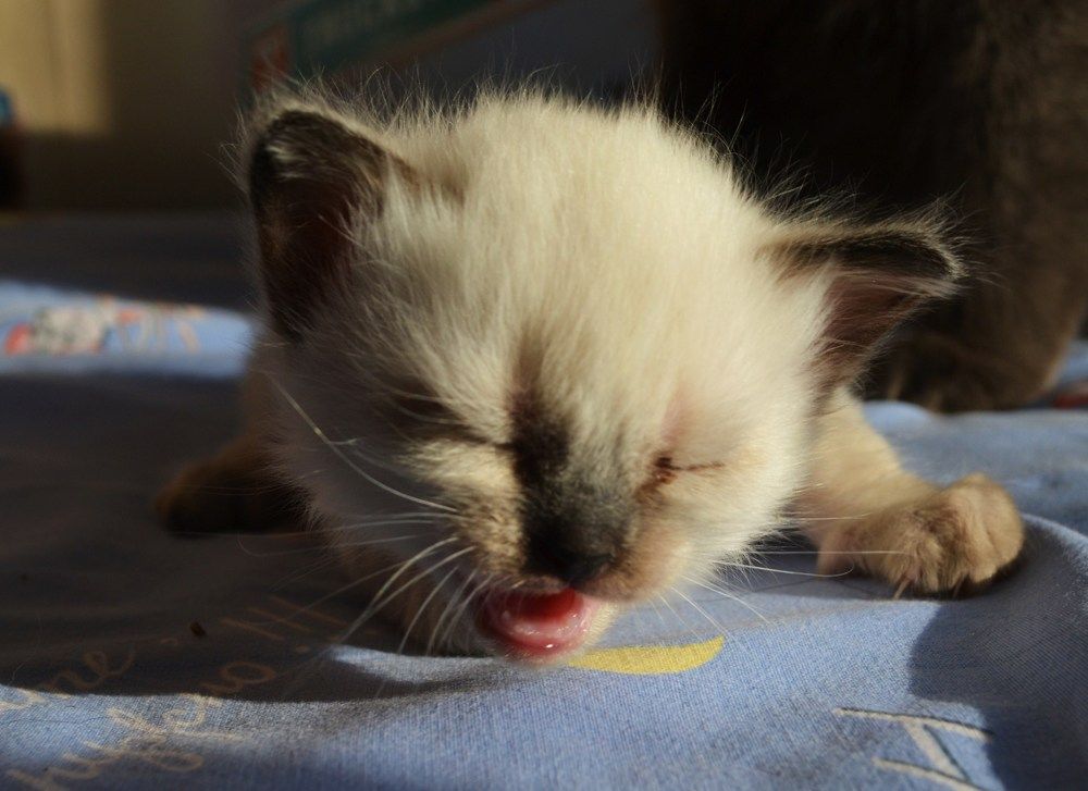 Photograph by Ольга Хромова