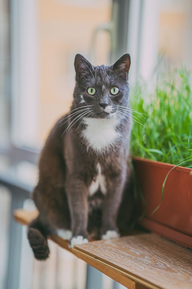 Фотография автора Nikita