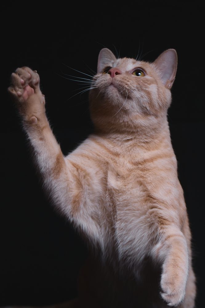 Photograph by Роман Гудзь