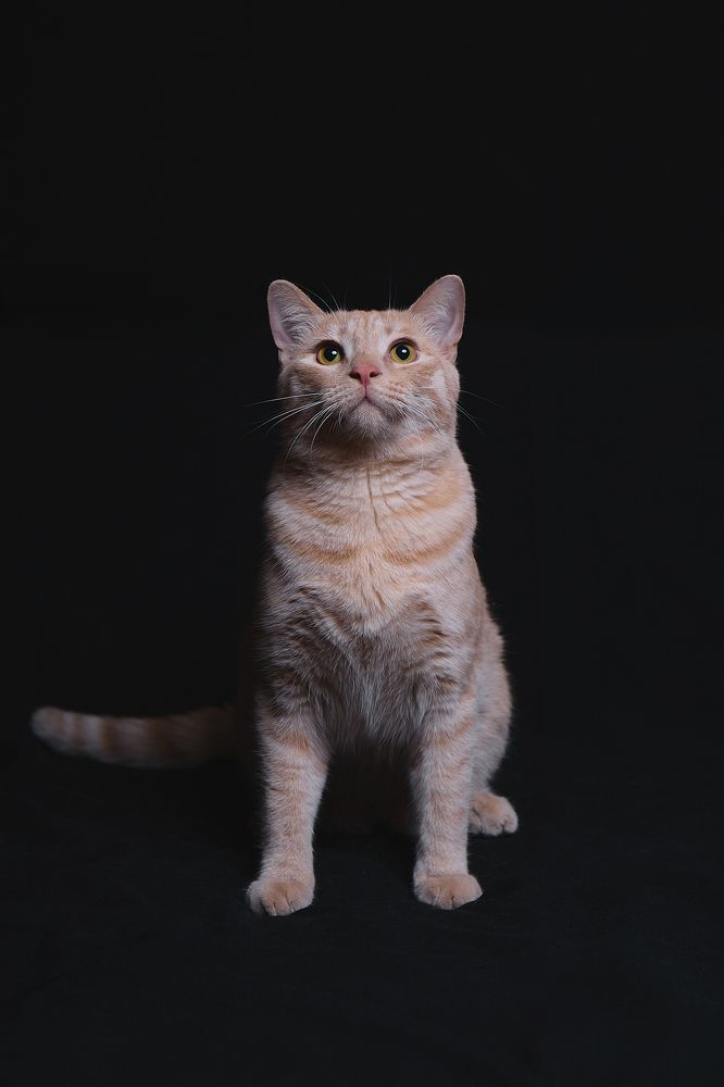 Photograph by Роман Гудзь