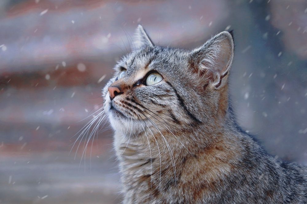 Photograph by safoura saeedi seta