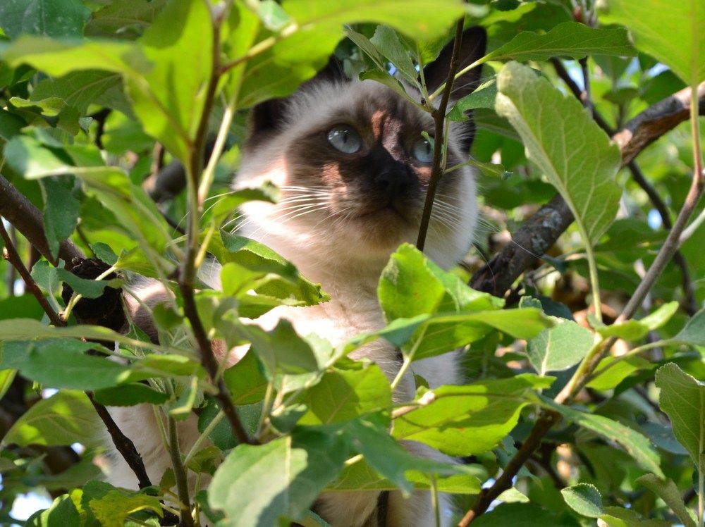 Photograph by Ольга Хромова