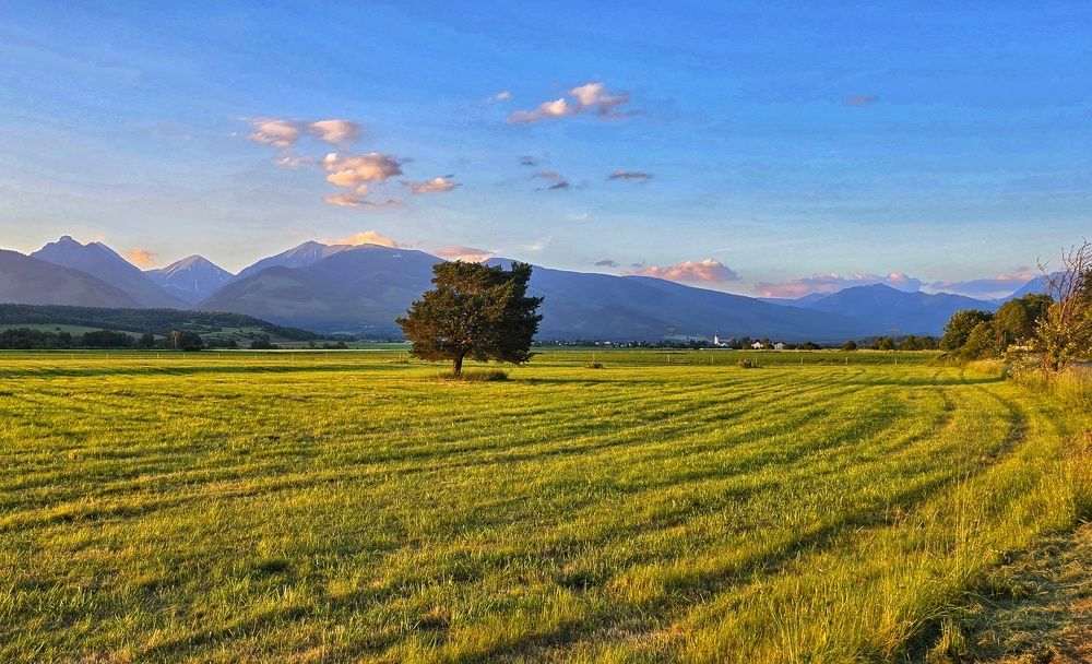 Фотография автора Igor Dyomin