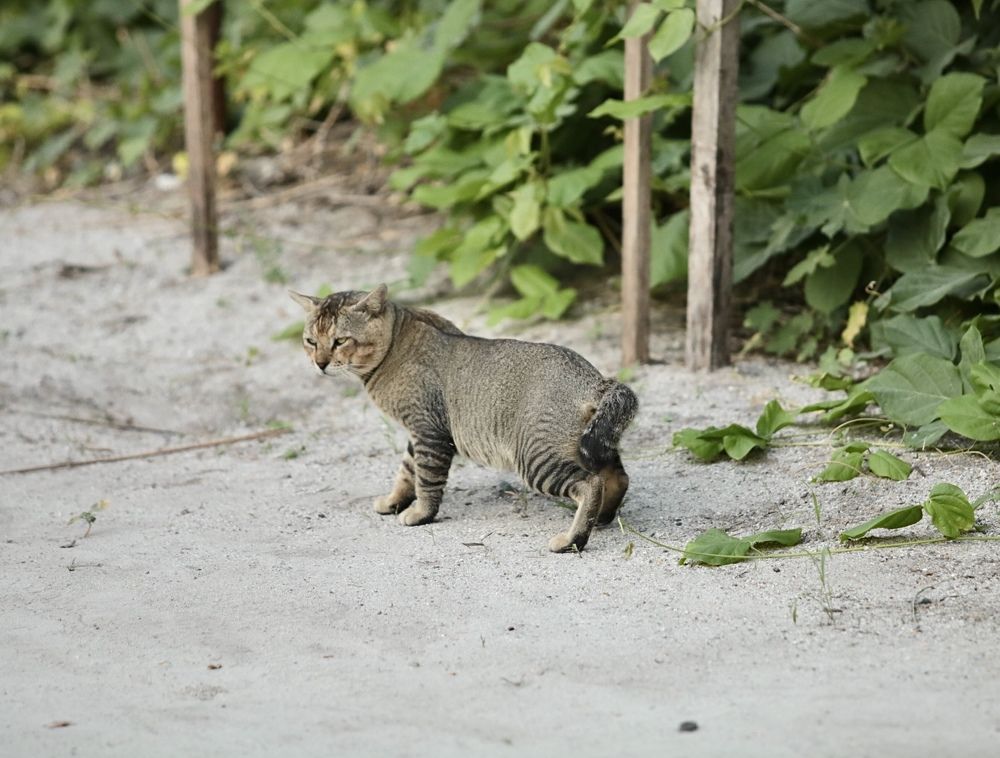 Photograph by Елена Ковалева