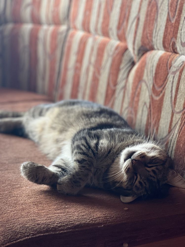 Photograph by Елена Ковалева