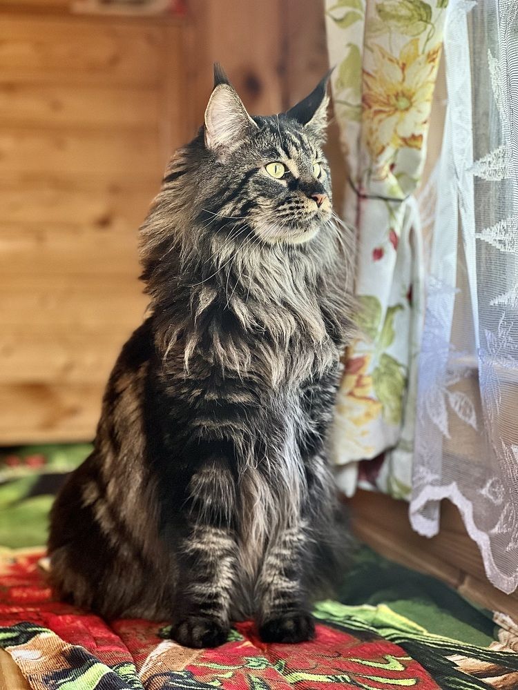 Photograph by Елена Ковалева