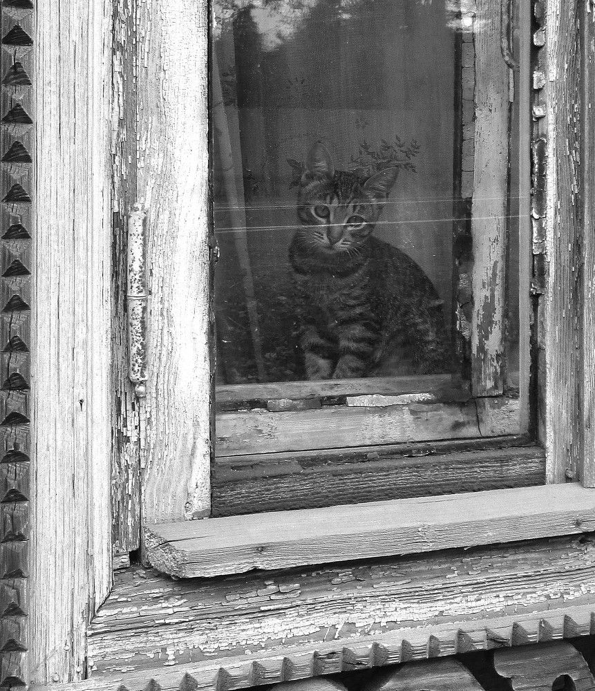 Photograph by Михаил Попов