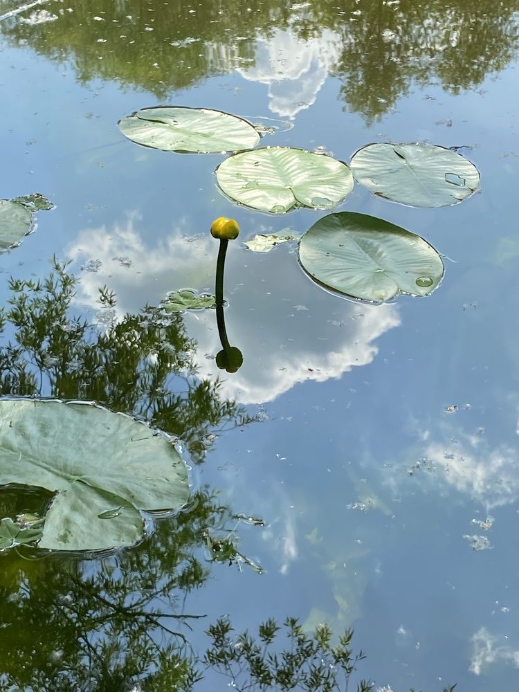 Photograph by Елена