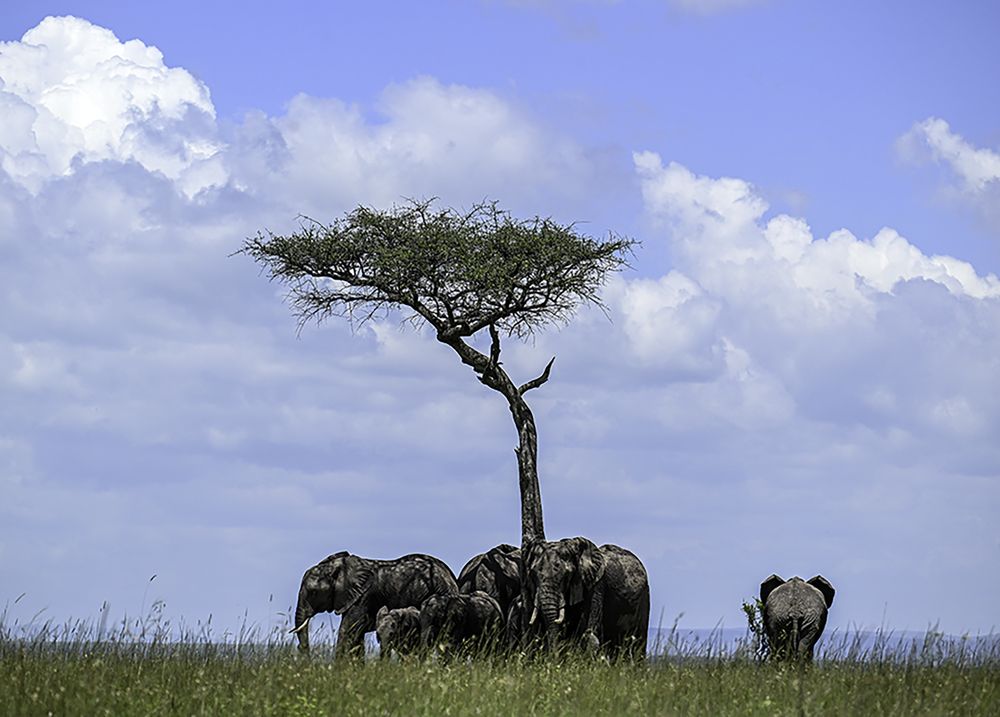 Photograph by Nuwair ALHajeri