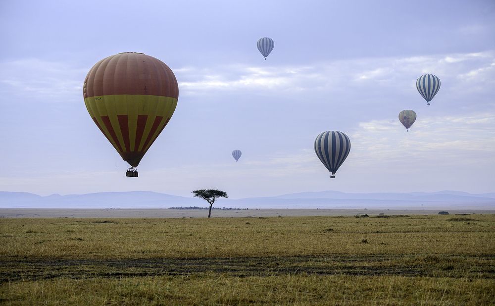 Photograph by Nuwair ALHajeri