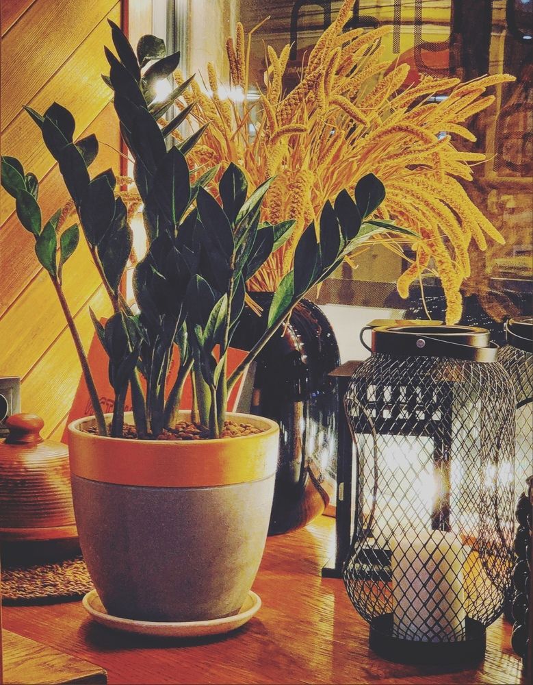 Photograph by Владимир Поздняков