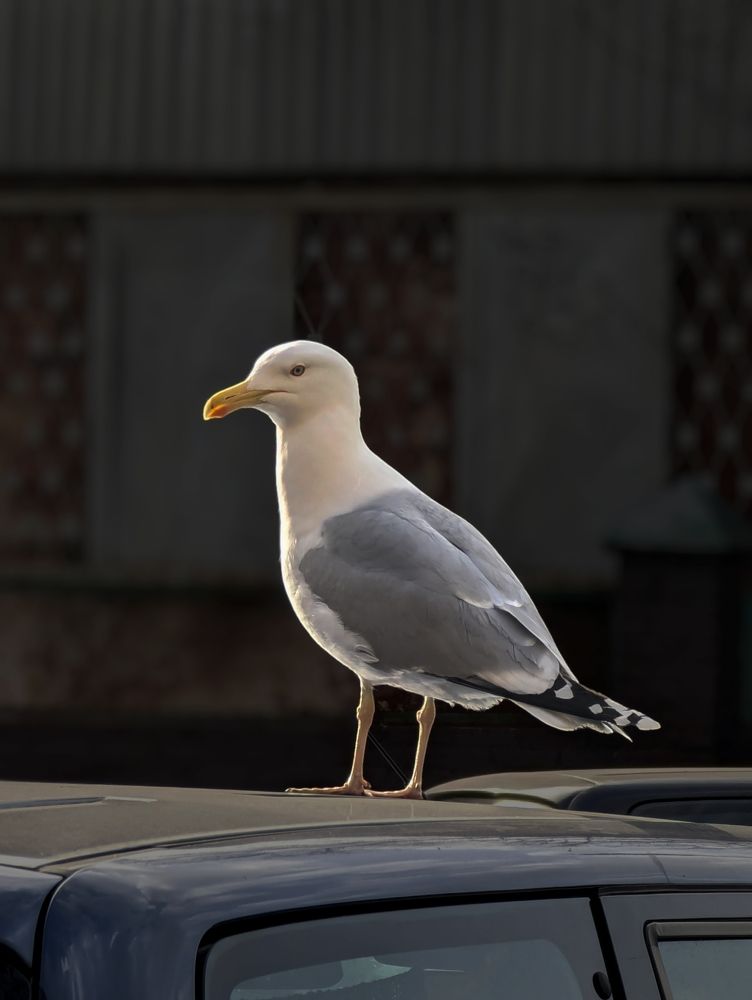 Фотография автора Юлия Дударёнок