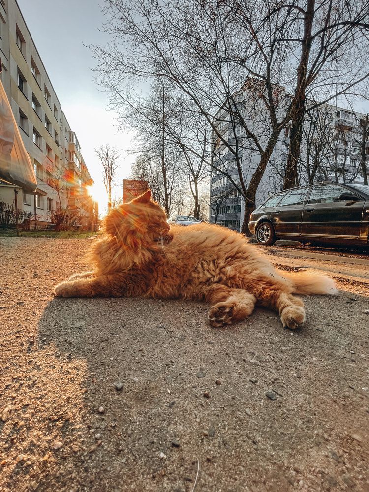 Фотография автора Юлия Дударёнок