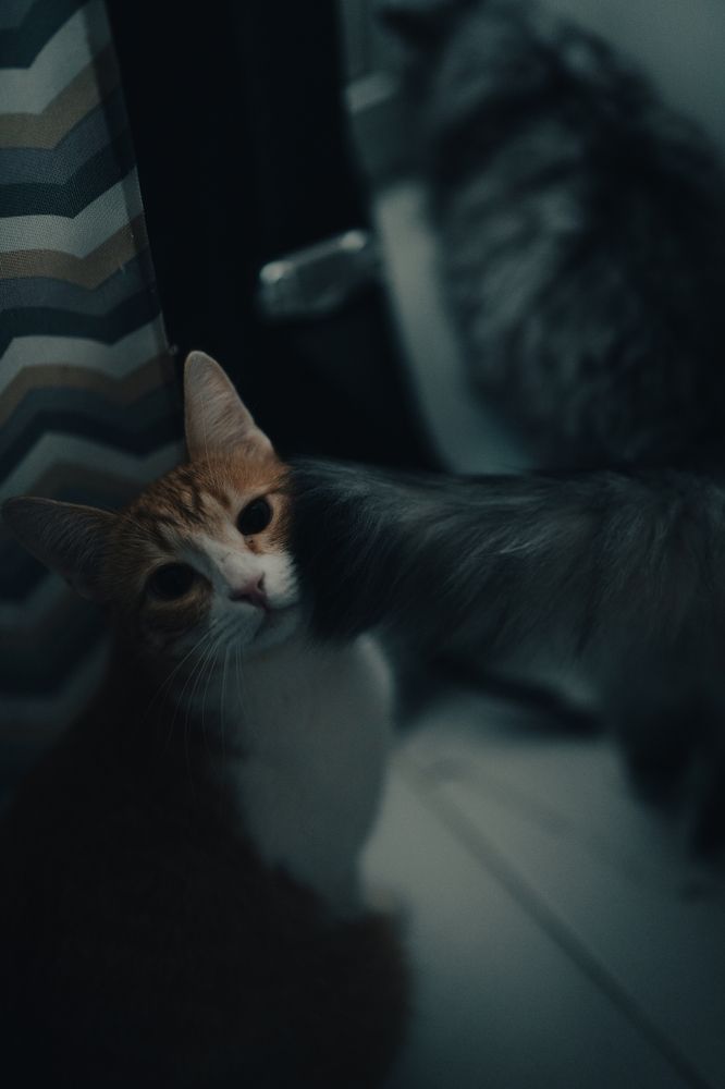 Photograph by Герман Крупенин