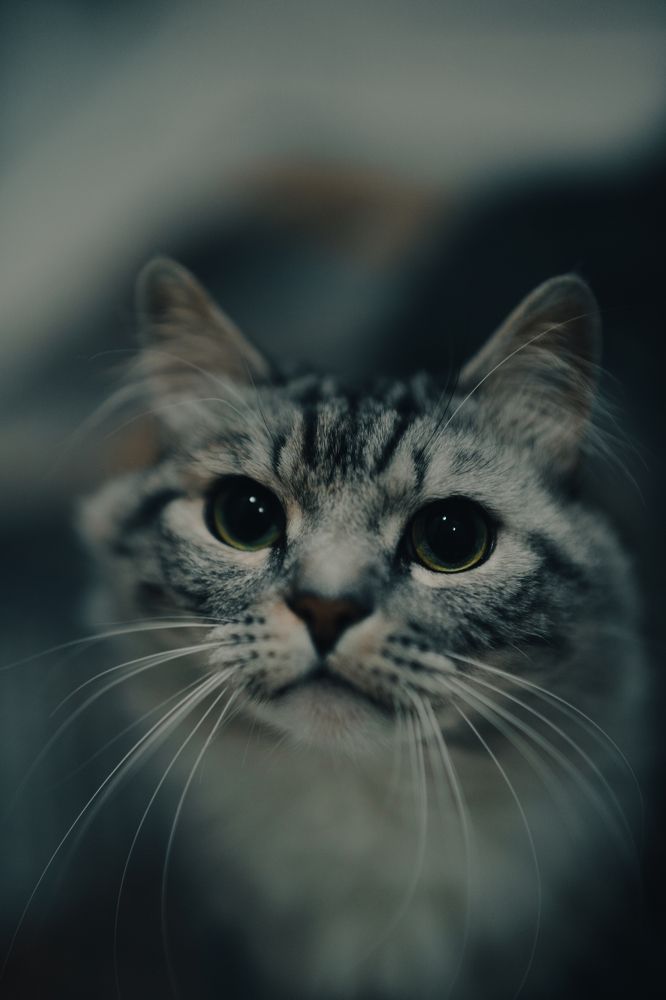 Photograph by Герман Крупенин