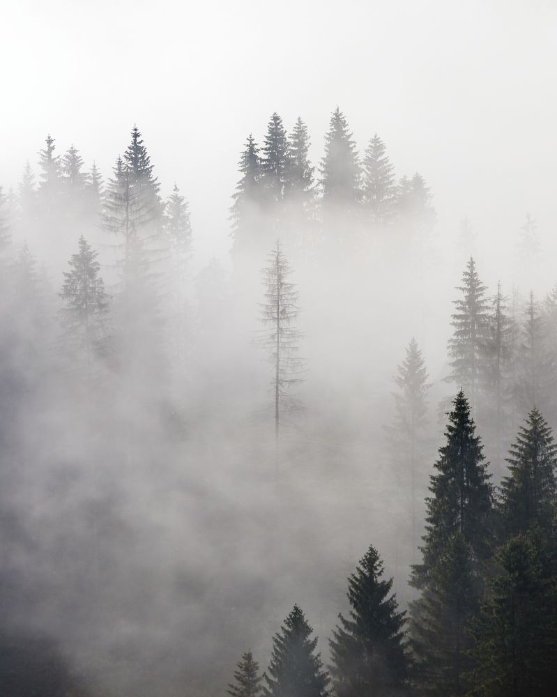 Photograph by Demir Pepic