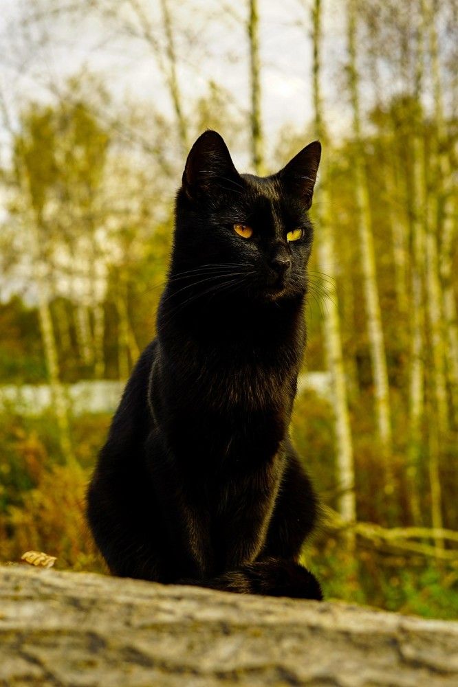 Photograph by Роман Трошин